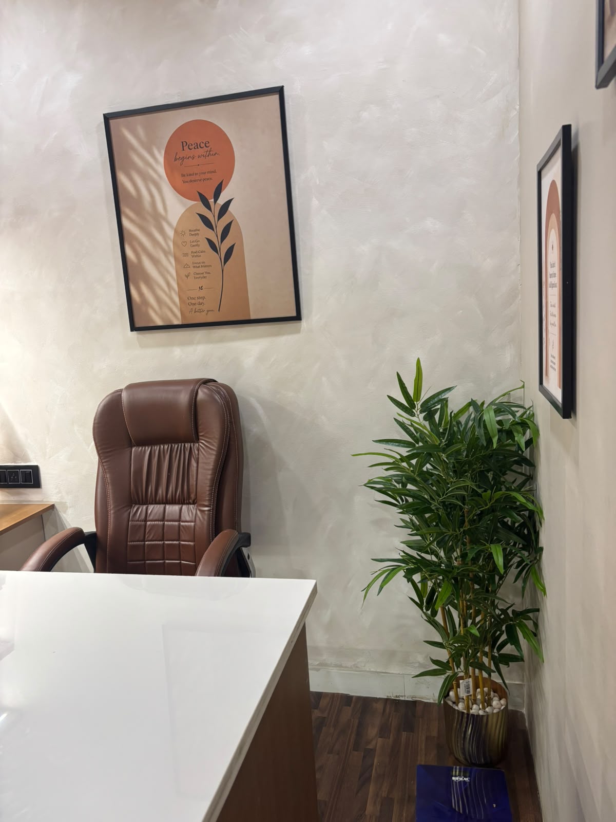 Serene Doctor Office